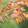 Garten 08.10.2016