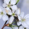Garten 10.04.2014