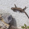 Garten 10.04.2014