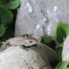 Garten 10.04.2014
