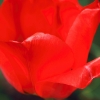 Garten 10.04.2014