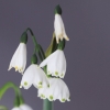 Garten 10.04.2014