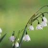 Garten 10.04.2014