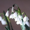 Garten 10.04.2014