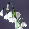 Garten 10.04.2014