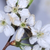 Garten 10.04.2014