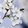 Garten 10.04.2014