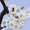 Garten 10.04.2014
