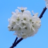 Garten 10.04.2014