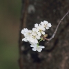 Garten 10.04.2014