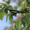 Garten 10.05.2013