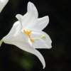 Garten 13.06.2014