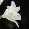 Garten 13.06.2014