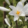 Garten 13.06.2014