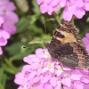 Garten 13.06.2014