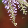 Garten 14.05.2013