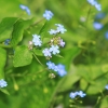 Garten 14.05.2013