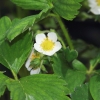 Garten 14.05.2013