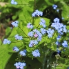 Garten 14.05.2013