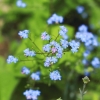 Garten 14.05.2013