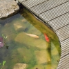 Garten 14.05.2013