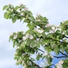 Garten 14.05.2013