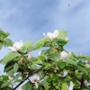Garten 14.05.2013