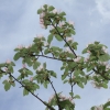 Garten 14.05.2013