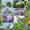 Garten 14.05.2013
