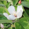 Garten 17.04.2014