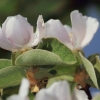 Garten 17.04.2014