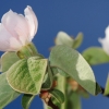 Garten 17.04.2014