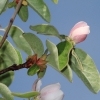 Garten 17.04.2014