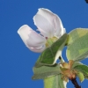 Garten 17.04.2014