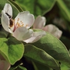 Garten 17.04.2014