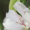 Garten 17.04.2014