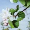 Garten 17.04.2014