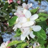 Garten 17.04.2014
