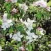 Garten 17.04.2014