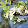 Garten 17.04.2014