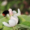 Garten 17.04.2014