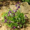 Garten 20.04.2016