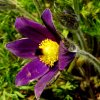 Garten 20.04.2016