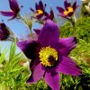 Garten 20.04.2016