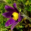 Garten 20.04.2016