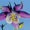 Garten 21.05.2016