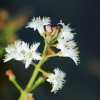 Garten 21.05.2016