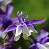 Garten 21.05.2016
