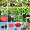 garten22052015