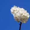 Garten 23.04.2015